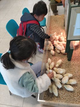 Moff animal world BIGHOPガーデンモール印西店に投稿された画像（2026/1/4）