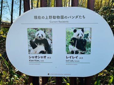 恩賜上野動物園に投稿された画像（2026/1/4）