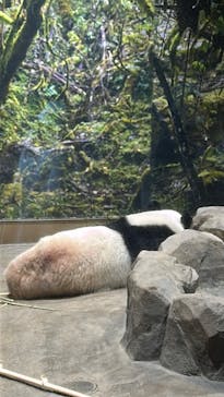 恩賜上野動物園に投稿された画像（2026/1/4）