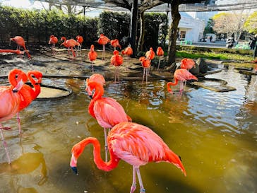 恩賜上野動物園に投稿された画像（2026/1/4）