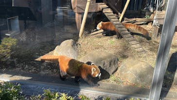 恩賜上野動物園に投稿された画像（2026/1/4）
