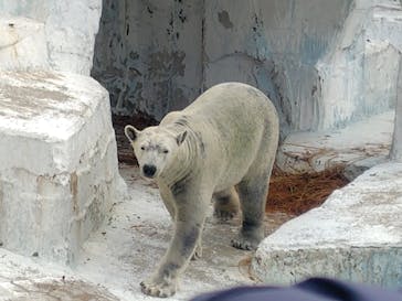 天王寺動物園に投稿された画像（2026/1/4）