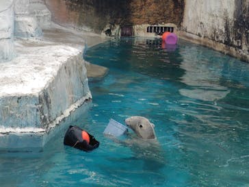 天王寺動物園に投稿された画像（2026/1/4）