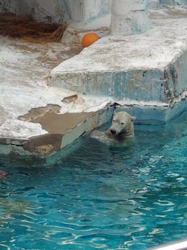 天王寺動物園に投稿された画像（2026/1/4）