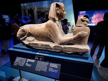 ACN ラムセス大王展 ファラオたちの黄金に投稿された画像（2026/1/4）