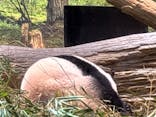 恩賜上野動物園に投稿された画像（2026/1/4）