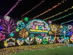 さがみ湖MORI MORIに投稿された画像（2026/1/4）