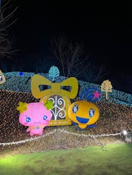 さがみ湖MORI MORIに投稿された画像（2026/1/4）