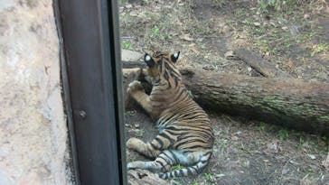 恩賜上野動物園に投稿された画像（2026/1/4）