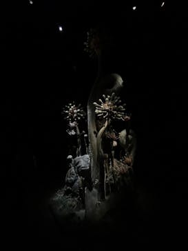 金曜ロードショーとジブリ展（静岡展）に投稿された画像（2026/1/4）