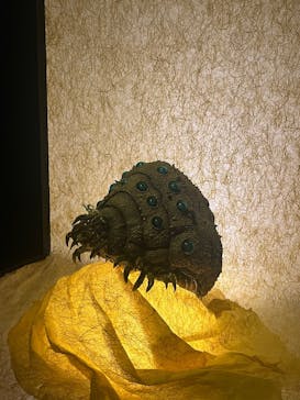 金曜ロードショーとジブリ展（静岡展）に投稿された画像（2026/1/4）