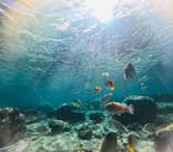 沖縄ダイビングショップシーモールに投稿された画像（2026/1/4）