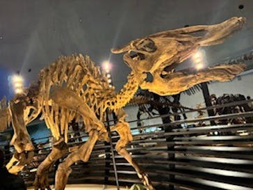 福井県立恐竜博物館に投稿された画像（2026/1/4）