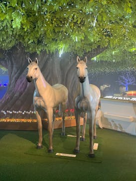 東京メガイルミに投稿された画像（2026/1/4）