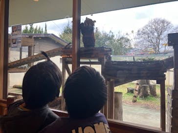 秋吉台自然動物公園 サファリランドに投稿された画像（2026/1/4）