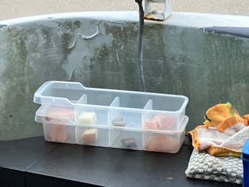 秋吉台自然動物公園 サファリランドに投稿された画像（2026/1/4）