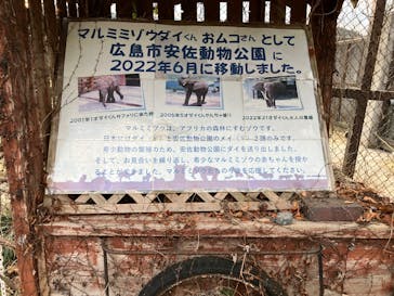 秋吉台自然動物公園 サファリランドに投稿された画像（2026/1/4）