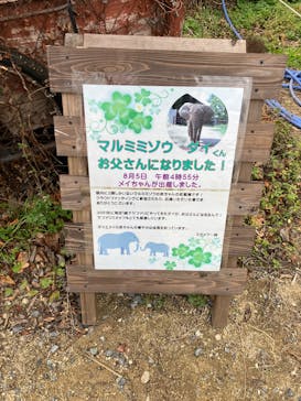 秋吉台自然動物公園 サファリランドに投稿された画像（2026/1/4）