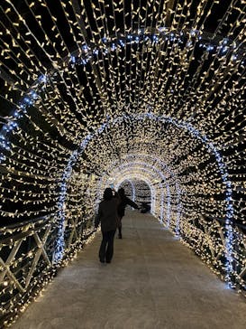 みろくの里に投稿された画像（2026/1/4）