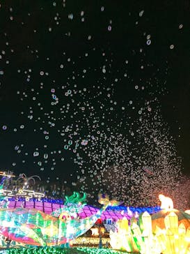 伊豆高原グランイルミに投稿された画像（2026/1/4）