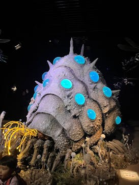 金曜ロードショーとジブリ展（静岡展）に投稿された画像（2026/1/4）