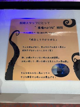 あわしまマリンパークに投稿された画像（2026/1/4）