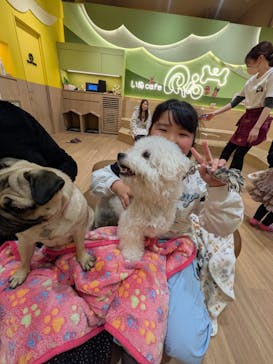 いぬカフェRio パークプレイス大分店に投稿された画像（2026/1/4）