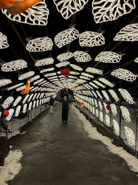 伊豆高原グランイルミに投稿された画像（2026/1/4）