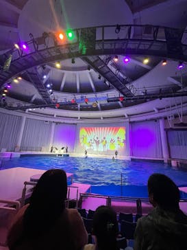 アクアワールド茨城県大洗水族館に投稿された画像（2026/1/4）