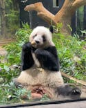 恩賜上野動物園に投稿された画像（2026/1/5）