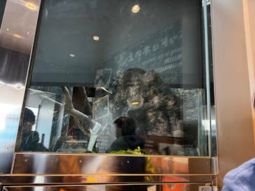 天王寺動物園に投稿された画像（2026/1/4）