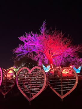 伊豆高原グランイルミに投稿された画像（2026/1/4）