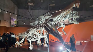 特別展「大絶滅展―生命史のビッグファイブ」に投稿された画像（2026/1/4）