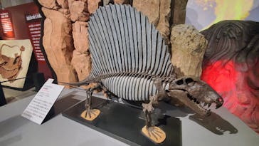 特別展「大絶滅展―生命史のビッグファイブ」に投稿された画像（2026/1/4）