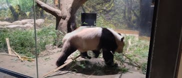 恩賜上野動物園に投稿された画像（2026/1/4）