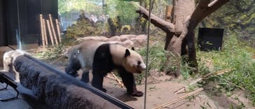 恩賜上野動物園に投稿された画像（2026/1/4）