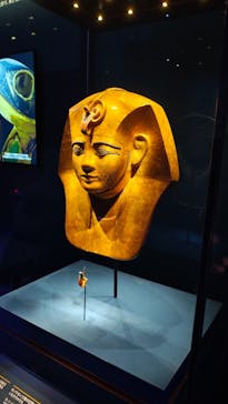 ACN ラムセス大王展 ファラオたちの黄金に投稿された画像（2026/1/4）