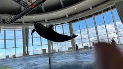 アクアワールド茨城県大洗水族館に投稿された画像（2026/1/5）