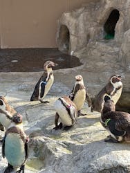 アクアワールド茨城県大洗水族館に投稿された画像（2026/1/5）