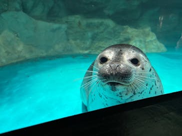 アクアワールド茨城県大洗水族館に投稿された画像（2026/1/5）