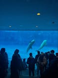名古屋港水族館に投稿された画像（2026/1/5）