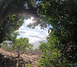 マーレ石垣島に投稿された画像（2026/1/5）