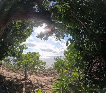 マーレ石垣島に投稿された画像（2026/1/5）