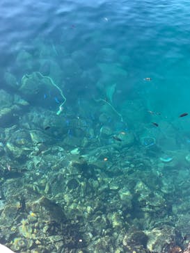 あわしまマリンパークに投稿された画像（2026/1/5）