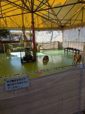 つくばわんわんランドに投稿された画像（2026/1/5）