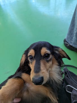 つくばわんわんランドに投稿された画像（2026/1/5）