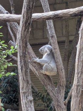 名古屋市東山動植物園に投稿された画像（2026/1/5）