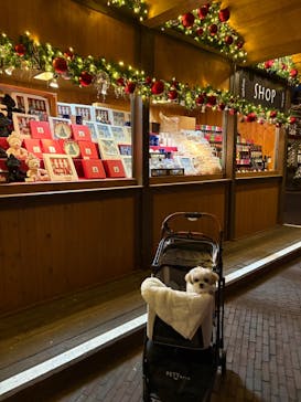 ハウステンボスに投稿された画像（2026/1/5）