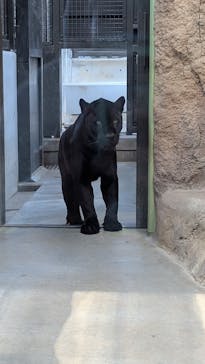日立市かみね動物園に投稿された画像（2026/1/5）