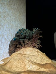 金曜ロードショーとジブリ展（静岡展）に投稿された画像（2026/1/5）